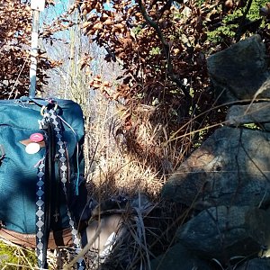 Jiřina na vrcholu Panský kopec (31.12.2021 15:05)