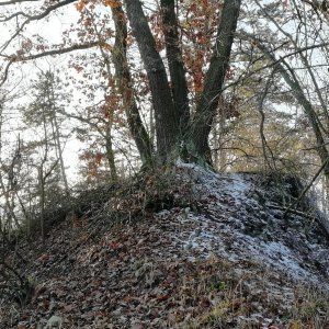 Vladimír Grančay na vrcholu Na Homoli (30.12.2024 14:37)