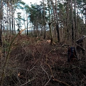 Jiřina na vrcholu Bačatka (31.12.2021)