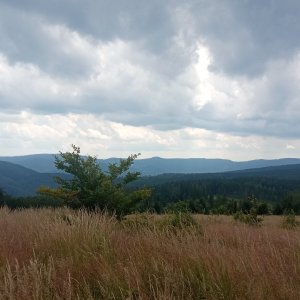 Edit on the summit of Chata Ostrý (18.7.2026 13:47)