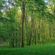 AlenaŠ na vrcholu Větrný mlýn Kunkovice (13.5.2025)