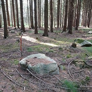 Jar Faldy na vrcholu Hřeben (22.5.2022 16:52)