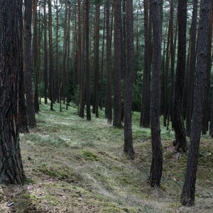 Bouřka na vrcholu Buková hora (23.9.2023 15:14)
