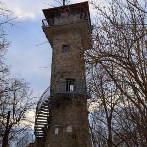 Chilli Karin na vrcholu Alexandrova rozhledna (15.2.2025 14:30)