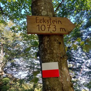 Mykas on the summit of Eckstein (6.9.2023 12:46)
