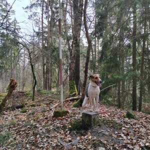 Figgo na vrcholu Na Skalici (22.3.2025 11:00)