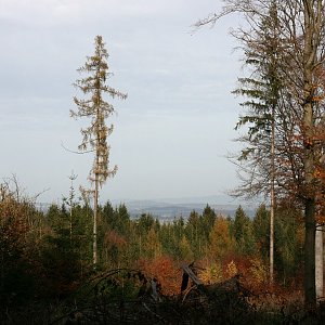 Bouřka on the summit of Buková hora Z (29.10.2022 13:33)