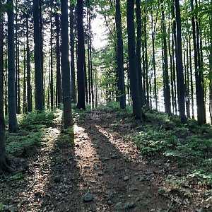 ZdenkaV na vrcholu Kotliny - SZ vrchol (15.5.2022 18:16)