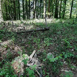 ZdenkaV na vrcholu Tanečnice - J vrchol (15.5.2022 13:11)