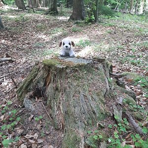ZdenkaV na vrcholu Raťkov - SV vrchol (15.5.2022 11:05)