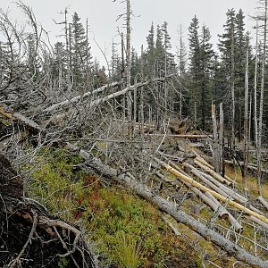 Vladimír Grančay na vrcholu Ostrý vrch (22.8.2019 13:36)