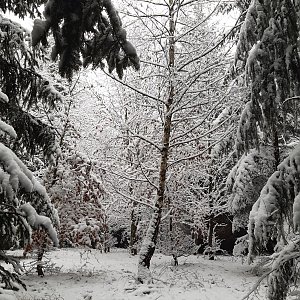 ZdenkaV na vrcholu Široká (20.11.2022 11:26)