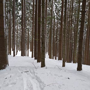 ŠenovKK na vrcholu Gigula S vrchol (4.2.2022 11:43)