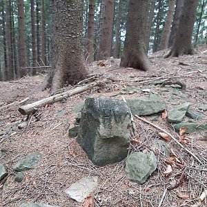 ZdenkaV na vrcholu Gigula S vrchol (4.11.2022 12:00)