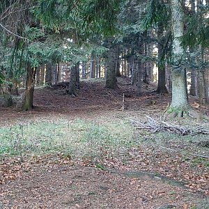 PA!WELL na vrcholu Gigula S vrchol (13.11.2022 13:44)