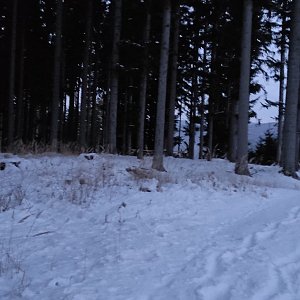 Petr h_vipet na vrcholu Adamík (24.1.2022 16:57)