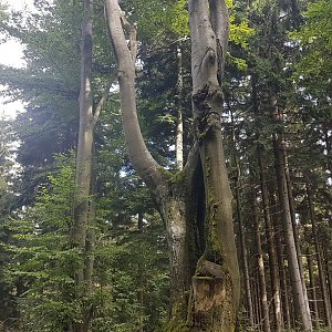 Marcela Kubíčková na vrcholu Jaseňové (10.9.2022 11:25)