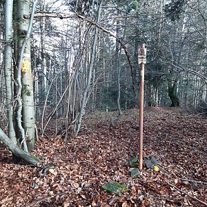 ZdenkaV na vrcholu Adamkov (6.11.2022 12:02)