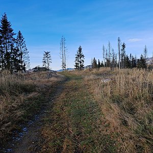 Horalka Anička na vrcholu Prieľačský vrch (4.12.2022)