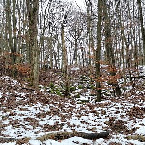 Holi na vrcholu Obrovo hradiště (23.1.2021 15:54)