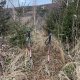 Radka D on peak Hradištěk SV