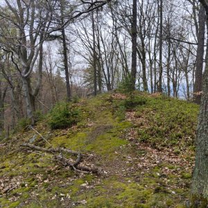 BILI on the summit of Jedlina (19.4.2026 15:16)