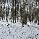 TP na vrcholu Bukový vrch (29.1.2023)