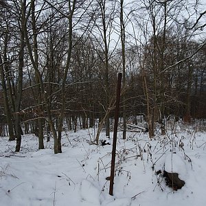 TP na vrcholu Bukový vrch (29.1.2023 12:35)