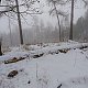 Nojby na vrcholu Travný vrch (13.1.2022 12:36)
