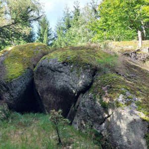 Mykas na vrcholu Chorvatský vrch (4.9.2025 13:26)