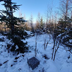Nojby na vrcholu Kamenný vrch (14.1.2022 10:54)