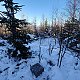 Nojby na vrcholu Kamenný vrch (14.1.2022 10:54)