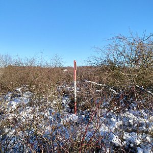 Nojby na vrcholu Chemičák (14.1.2022 14:13)
