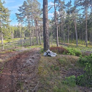 Cyklista 73 na vrcholu Plešec (20.5.2025 18:09)