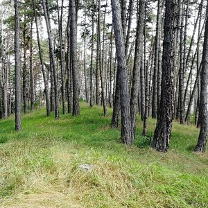 Šumavské podhůří