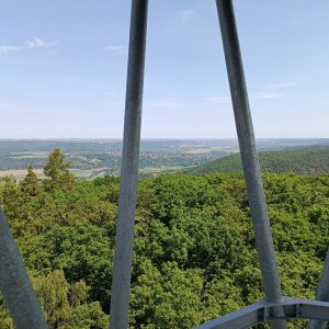 David Pšenica na vrcholu Červená hlína (31.5.2026 11:43)