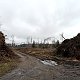Jiřina na vrcholu Na Skalách