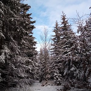Pavlína na vrcholu Dobřečovská hora (19.11.2022 14:04)