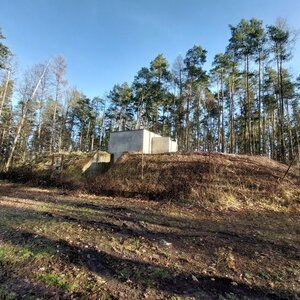 Mykas on the summit of Stohlavec (27.12.2023 12:15)