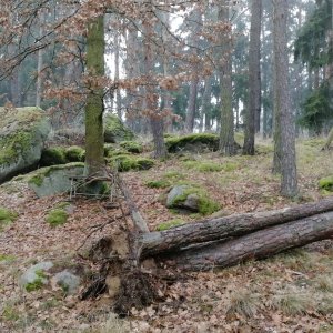 Vladimír Grančay na vrcholu Nesvorný S (15.12.2025 12:23)