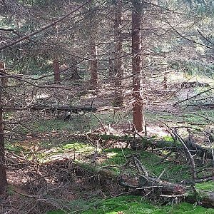Cyklista 73 na vrcholu Konopáč - V vrchol (7.10.2022 14:06)