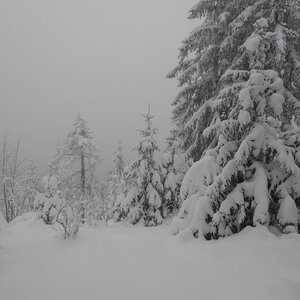 Nojby on the summit of Plešivec V (5.12.2023 14:18)