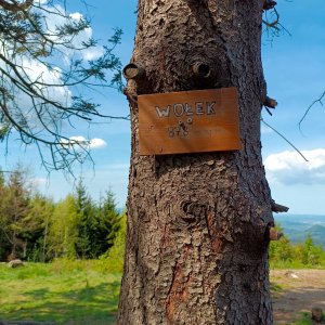 AlenaŠ on the summit of Wołek (2.5.2025 12:03)