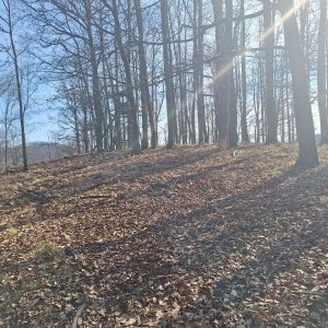 Cyklista 73 na vrcholu V Luhu (21.3.2025 14:07)