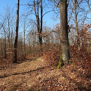Bouřka na vrcholu Kravař - V vrchol (10.2.2022 12:46)