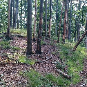 PA!WELL na vrcholu Nad Vejpřahy (16.6.2022 9:30)