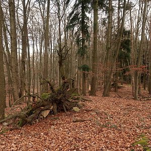 Bouřka na vrcholu U Linharta - SZ vrchol (10.2.2022 14:33)