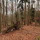 Bouřka na vrcholu U Linharta - SZ vrchol (10.2.2022 14:33)