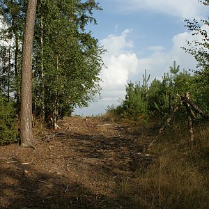 Holi na vrcholu Na Kamejkách - SV vrchol (25.8.2022 17:09)