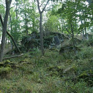 Holi na vrcholu Na Skále (25.8.2022 16:46)